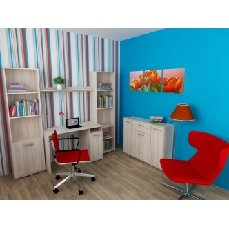 BANING police, dub sonoma