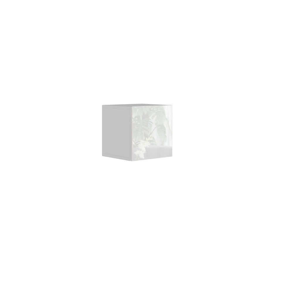 Levně Závěsná skříňka ANTOFALLA typ 1, bílá/bílý lesk