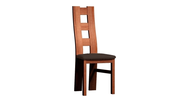 Čalouněná židle ACHAO, dub stoletý/tmavě hnědá