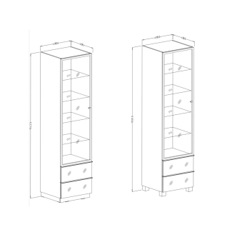 DEJEON vitrína 1D2S, černá/šedé sklo