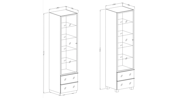 DEJEON vitrína 1D2S, černá/šedé sklo