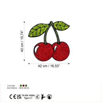 Dekorace na zeď NN01546 - třešně