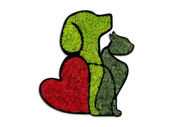 Dekorace na zeď NN01549 - Dog & Cat Lover