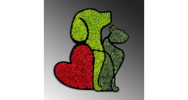 Dekorace na zeď NN01549 - Dog & Cat Lover