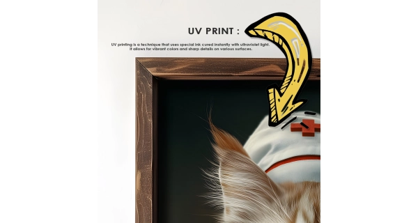 Dekorativní obraz v dřevěném rámu kočka doktorka, 35 x 47 cm