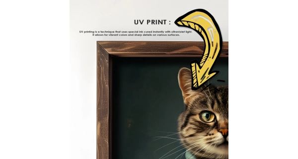 Dekorativní obraz v dřevěném rámu kocour doktor, 35 x 47 cm