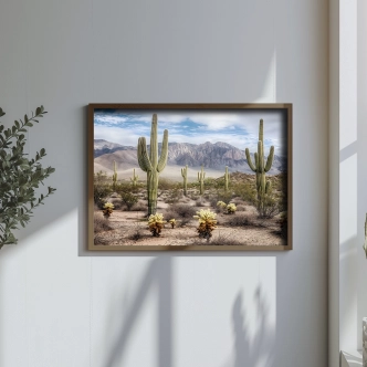 Dekorativní obraz v dřevěném rámu stromy kaktusu, 35 x 47 cm