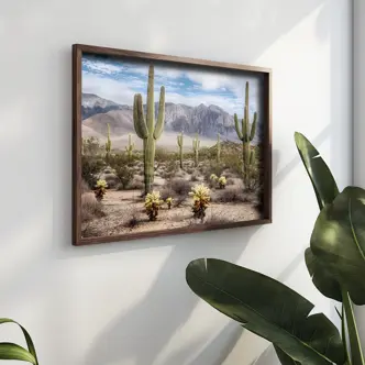 Dekorativní obraz v dřevěném rámu stromy kaktusu, 35 x 47 cm