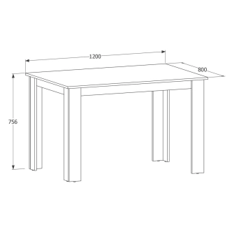 Jídelní stůl BEIRA 120x80 bílá/černá