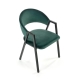 Jídelní židle IRAZO, zelená