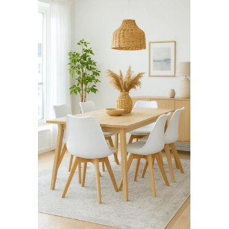 Jídelní židle SARSAR, bílý plast/masiv buk