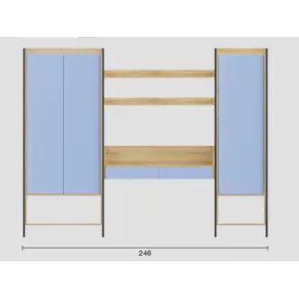 KALANCHOE police 78 cm, hikor přírodní