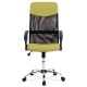 Kancelářská židle BLAUR, černá/zelená
