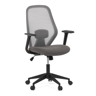 Kancelářská židle DORWELOR, šedá