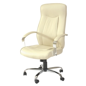 Kancelářské křeslo NAMAQUANUM, černá ekokůže 