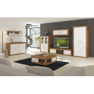 Komoda GOUDINI 2D4S, dub burgundský/bílý lesk, 5 let záruka