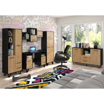 Komoda PRUDHOE 2D2S, černá/dub artisan, 5 let záruka