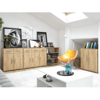 Komoda TASIRE 2D2S, dub artisan