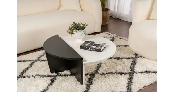 Konferenční stolek KRALTON, bílé dřevo/černé dřevo