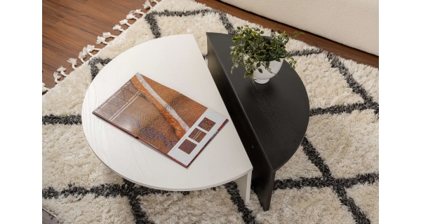 Konferenční stolek KRALTON, bílé dřevo/černé dřevo