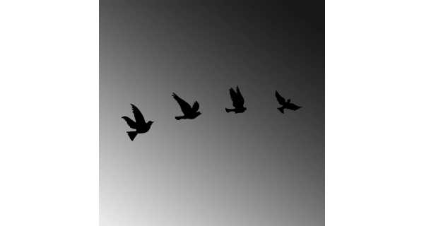 Kovová dekorace na zeď NN01641 - ptáci