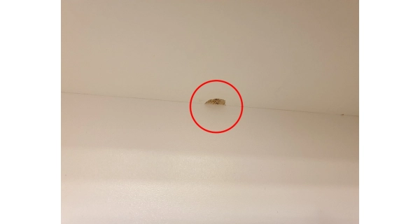 LUNA 05, skříňka vysoká nad WC či pračku, bílá, Z EXPOZICE PRODEJNY, II. jakost