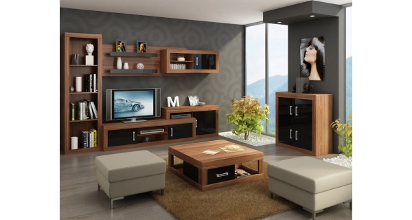 Nízký regál GOUDINI, švestka wallis/černý lesk, 5 let záruka