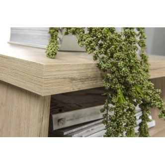 Noční stolek FRAGILIS 2S, dub artisan/černá