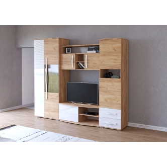 Obývací stěna ALIOT MINI, dub kraft zlatý/bílý lesk