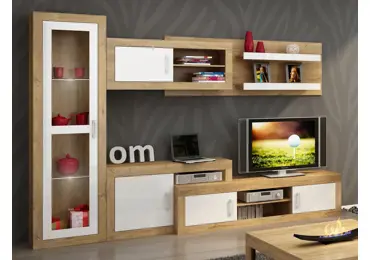 Obývací stěna GOUDINI 3, dub burgundský/bílý lesk