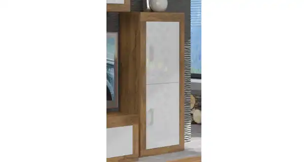 Obývací stěna GOUDINI 8, dub burgundský/bílý lesk