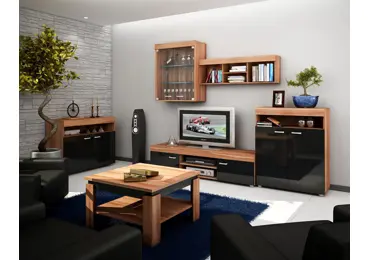 Obývací stěna IRUS, švestka/černý lesk