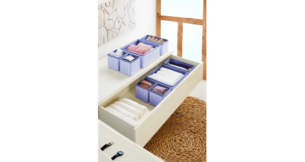 Organizér NN01289, modrá