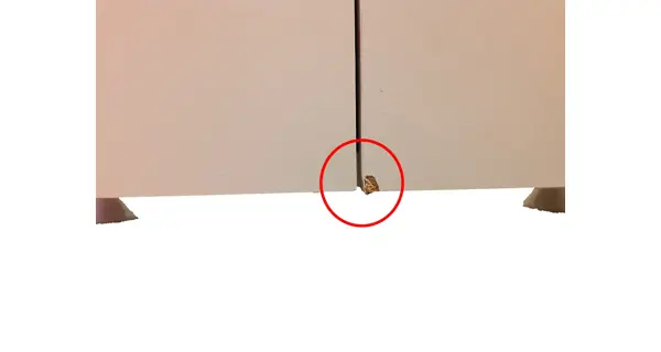 Policová skříň BRUNNESA, bílá, Z EXPOZICE PRODEJNY, II. jakost