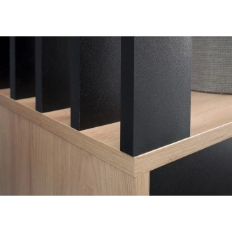 Předsíňová stěna PIETRALCINA, dub artisan/černá