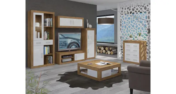 Regál GOUDINI 3, dub burgundský/bílý lesk