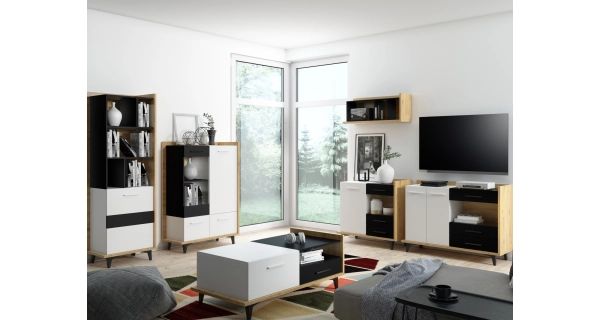 Regál KNUT 1D, dub artisan/bílá/černá, 5 let záruka