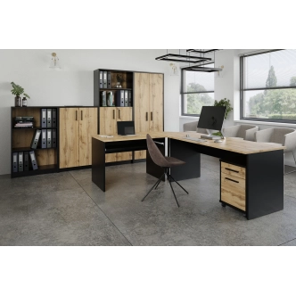 Regál nízký NEJBY GIANNI, černá/dub wotan