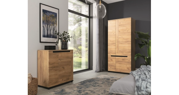 Šatní skříň ABAKUS 2D, dub craft zlatý/černý