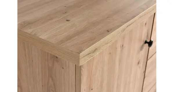 Šatní skříň FRAGILIS 2D, dub artisan/černá