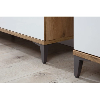 Skříň ANTIOPE 2D, dub craft zlatý/bílá alpský lesk 