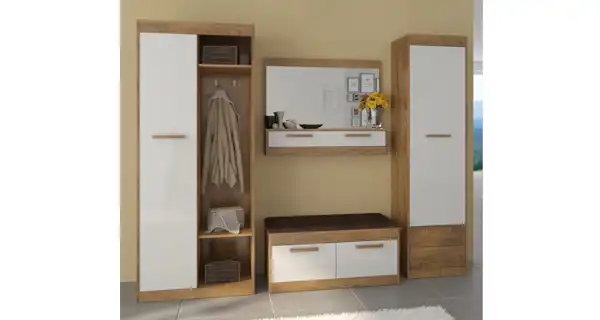 Skříň GATTON 1D2S, dub burgundský/bílý lesk