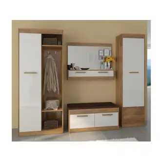 Skříň GATTON 1D2S, dub burgundský/bílý lesk