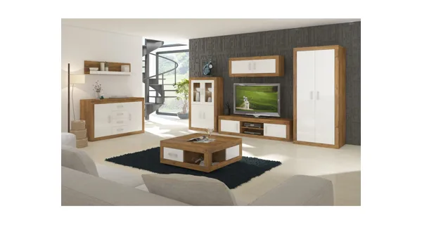 Skříň GOUDINI 2D, dub burgundský/bílý lesk