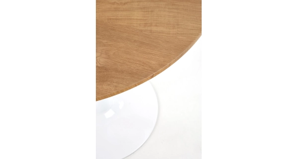 Stůl AVIANA, bílá/dub zlatý