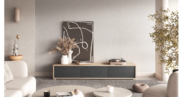 Televizní stolek CELESTIN I, olejovaný dub/antracit