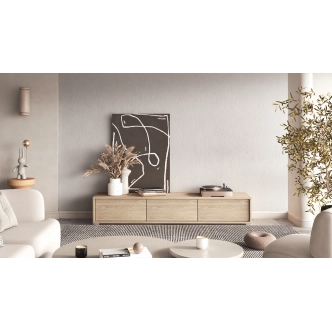 Televizní stolek CELESTIN I, olejovaný dub