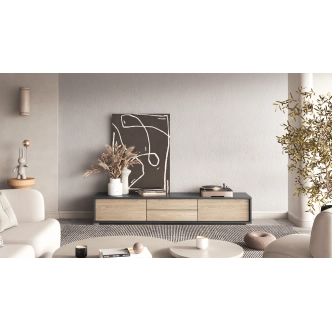 Televizní stolek CELESTIN II, antracit/olejovaný dub