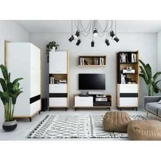 Televizní stolek KNUT 1D1S, dub artisan/bílá/černá, 5 let záruka