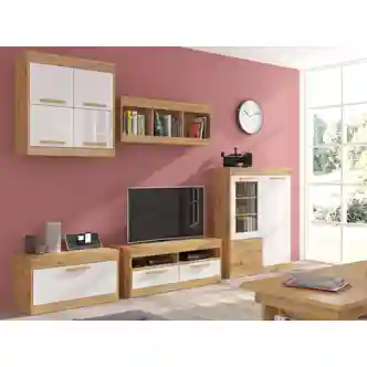 TV stolek GATTON s dvířky, dub artisan/bílý lesk